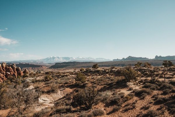 Quels sont les meilleurs itinéraires pour une randonnée à travers les steppes de Mongolie?
